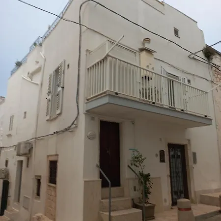 Starlight House