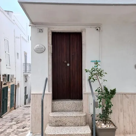 Starlight House